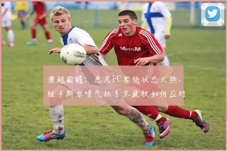澳超前瞻：悉尼FC客场状态火热，纽卡斯尔喷气机季末疲软如何应对