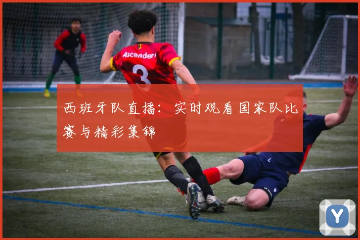 西班牙队直播：实时观看国家队比赛与精彩集锦