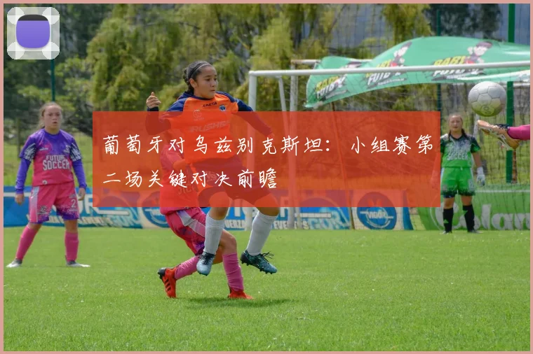 葡萄牙对乌兹别克斯坦：小组赛第二场关键对决前瞻